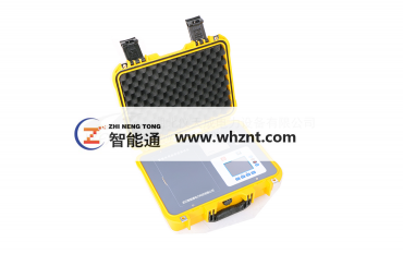 ZNT-3100  日皮视频在线观看电导盐密度测试仪